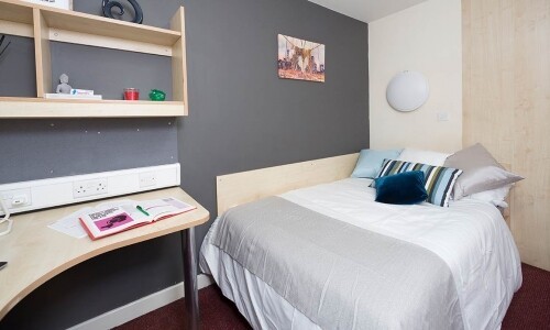 Finding Last-Minute Student Accommodation Near UTAS: Tips and Options