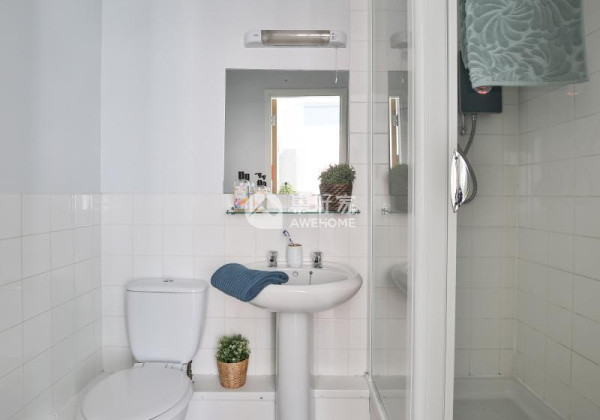 Exploring the Best Student Rooms with Attached Bathrooms in Swansea