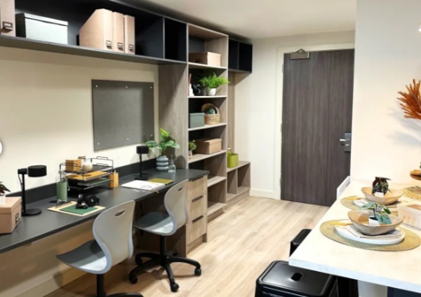 Finding Last-Minute Student Accommodation Near AIS-AU: Quick Solutions for Stress-Free Living