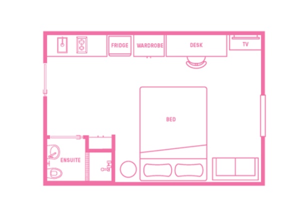 The Rise of Co-Living Spaces for Students in New Zealand: Affordable and Vibrant Accommodations