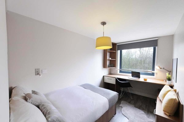 Discover the Best Luxury Studio Apartments for Students in Brighton