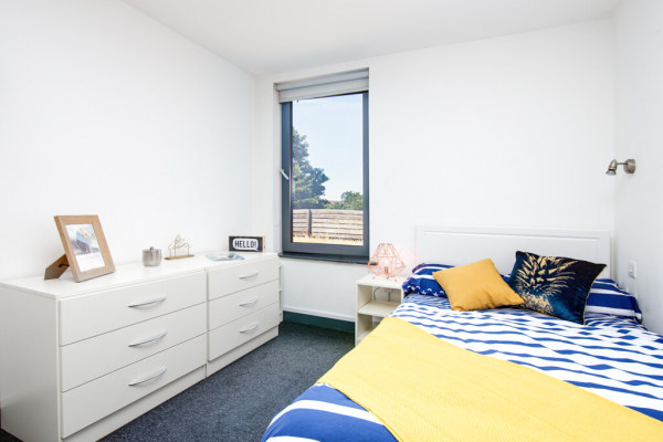 Summer Housing Options for Students in Cornwall: Exploring the Best Accommodation Solutions