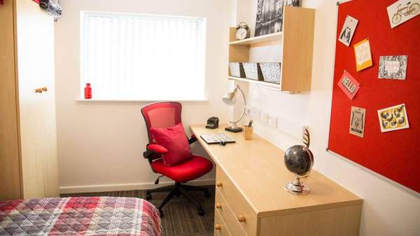 UCL Student Housing Options with Meal Plans: Finding the Perfect Fit