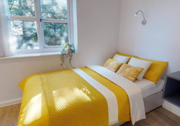 Finding Roommates for Student Housing at Dublin Business School: The Ultimate Guide