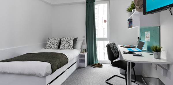 The Ultimate Guide to Student Rooms with Attached Bathrooms in Penryn: Finding Your Perfect Accommodation Solution