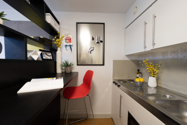 Advantages of en-suite rooms in London student housing,Economical student apartments in London