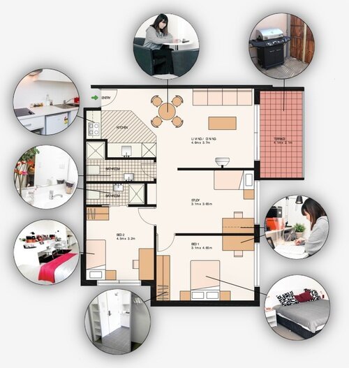 On-Campus vs. Off-Campus Housing at SAIS: Which Option Best Suits Your Needs?