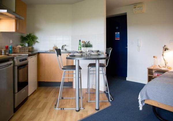 Shared student apartments in London pros and cons,Safe neighborhoods in London for students.