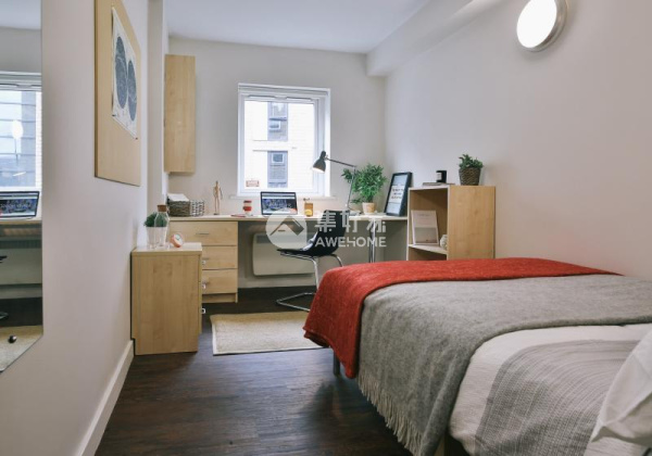 Housing Options for Students Near Art Districts in Brighton: Finding the Perfect Abode for Creative Minds