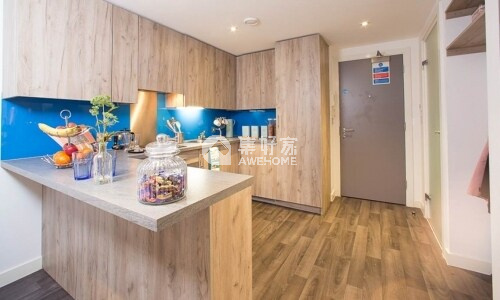 Advantages of en-suite rooms in London student housing,Economical student apartments in London