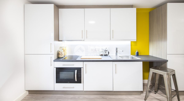 Shared student apartments in London pros and cons,Average rent for student in London