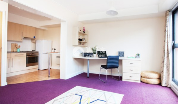 Finding roommates for London student flats,London student housing near campus prices