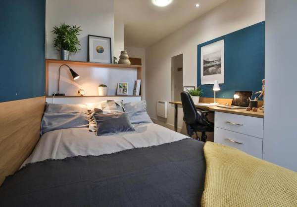 Pet-Friendly Student Housing Options in Newcastle upon Tyne: Finding Your Perfect Haven