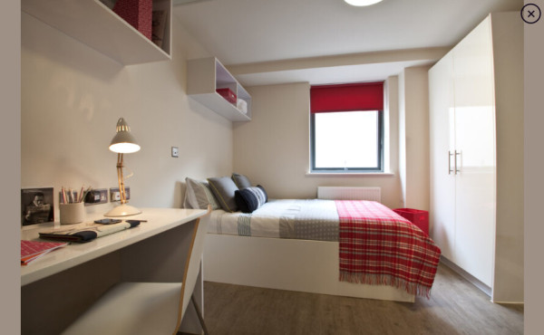 Toronto university campus vs off-campus housing,Budget student apartments Toronto