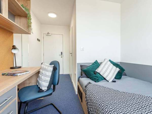 Auckland student accommodation cultural integration tips,Best areas for cheap student living in Auckland