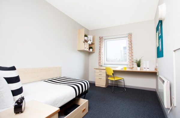 Luxury Student Apartments in Sydney: The Ultimate Guide to Your Dream Accommodation