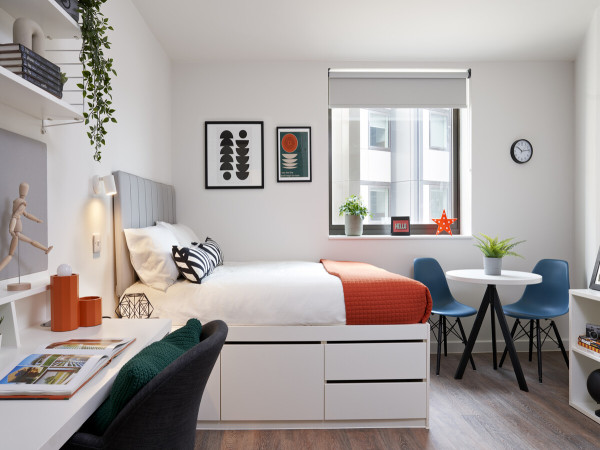 Shared student apartments in London pros and cons,Cheap student accommodation London