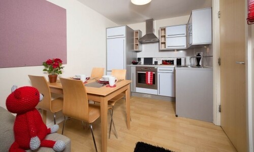 Safe areas in Edinburgh for international students to live,Edinburgh city center student flat rents