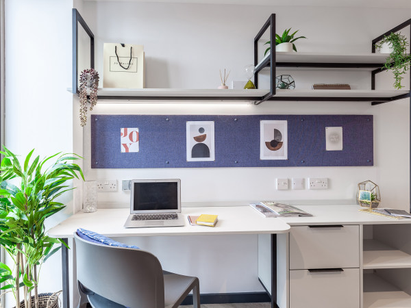 London student accommodation contracts explained,Student studio apartments in London prices